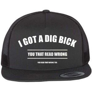 I Got a Dig Bick You Read That Wrong Funny Word Play Flat Bill Trucker Hat