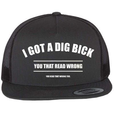 I Got a Dig Bick You Read That Wrong Funny Word Play Flat Bill Trucker Hat