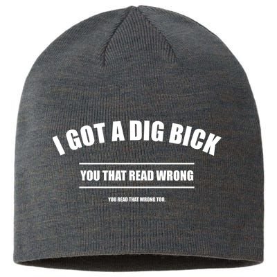 I Got a Dig Bick You Read That Wrong Funny Word Play Sustainable Beanie