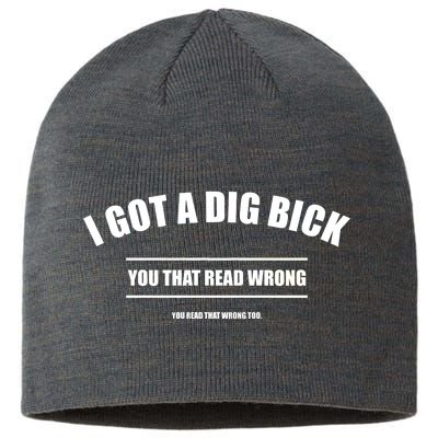 I Got a Dig Bick You Read That Wrong Funny Word Play Sustainable Beanie