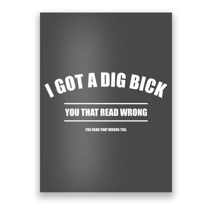 I Got a Dig Bick You Read That Wrong Funny Word Play Poster