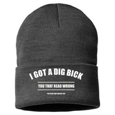 I Got a Dig Bick You Read That Wrong Funny Word Play Sustainable Knit Beanie