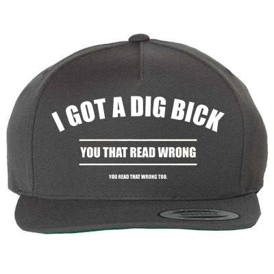 I Got a Dig Bick You Read That Wrong Funny Word Play Wool Snapback Cap