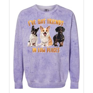 I Got Friends In Low Places Dogs Colorblast Crewneck Sweatshirt