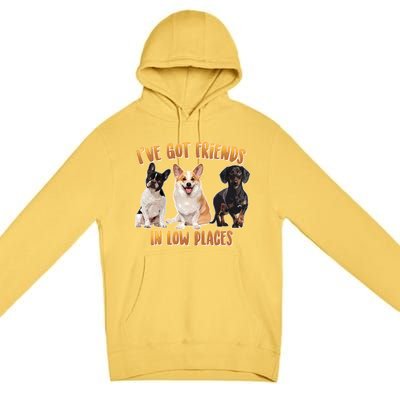 I Got Friends In Low Places Dogs Premium Pullover Hoodie