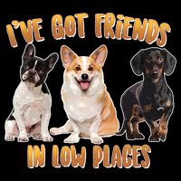 I Got Friends In Low Places Dogs City Backpack
