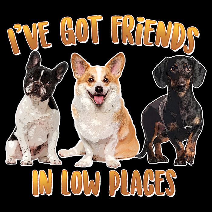I Got Friends In Low Places Dogs City Backpack