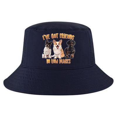 I Got Friends In Low Places Dogs Cool Comfort Performance Bucket Hat