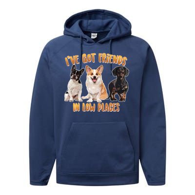 I Got Friends In Low Places Dogs Performance Fleece Hoodie