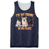 I Got Friends In Low Places Dogs Mesh Reversible Basketball Jersey Tank