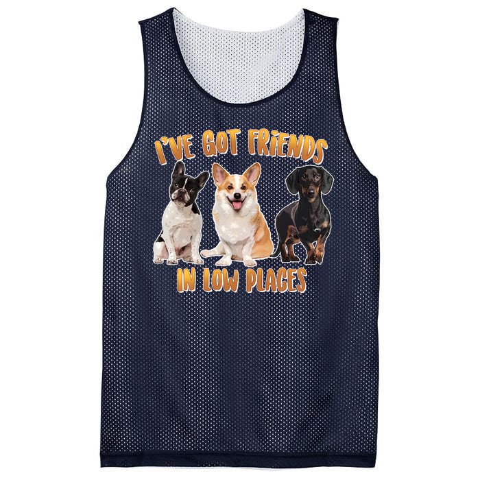 I Got Friends In Low Places Dogs Mesh Reversible Basketball Jersey Tank