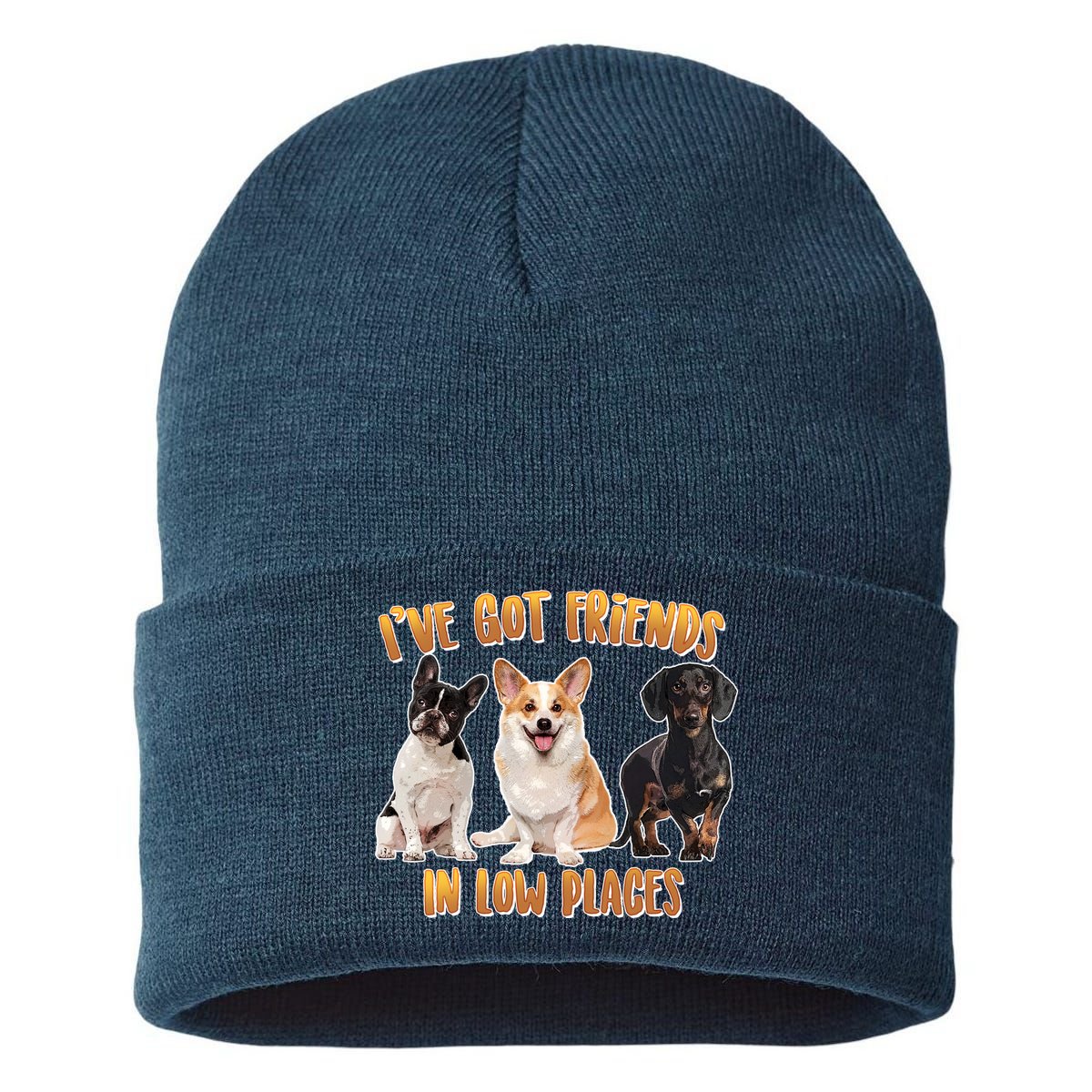 I Got Friends In Low Places Dogs Sustainable Knit Beanie