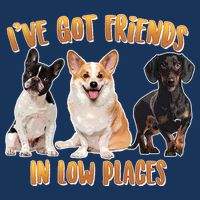 I Got Friends In Low Places Dogs Kids T-Shirt