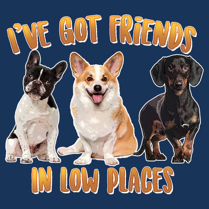 I Got Friends In Low Places Dogs Kids T-Shirt