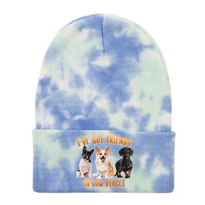 I Got Friends In Low Places Dogs Tie Dye 12in Knit Beanie