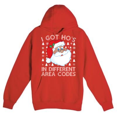 I Got Ho's In Different Aera Codes Santa Claus Ugly Christmas Premium Pullover Hoodie