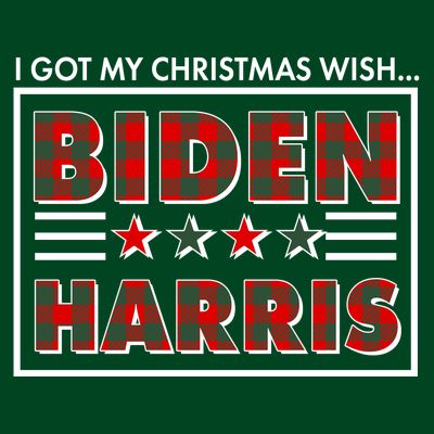 I Got My Christmas Wish Biden Harris Buffalo Plaid T-Shirt