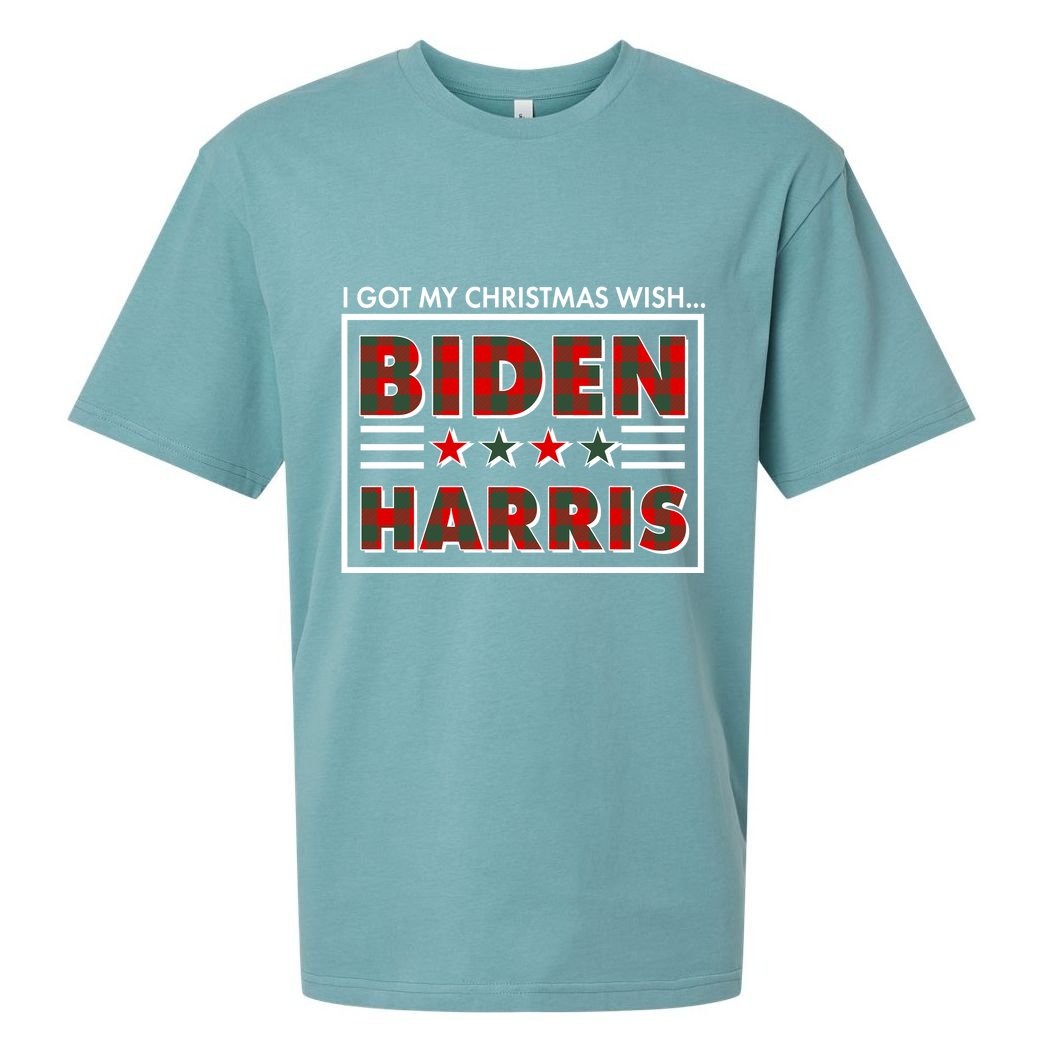 I Got My Christmas Wish Biden Harris Buffalo Plaid Sueded Cloud Jersey T-Shirt