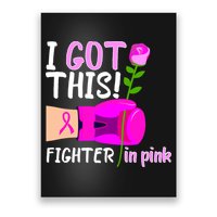 I Got This Fighter In Pink Breast Cancer Poster