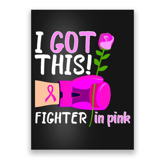 I Got This Fighter In Pink Breast Cancer Poster