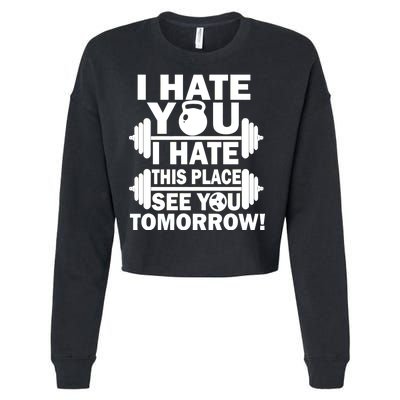 I Hate You This Place See You Tomorrow! Cropped Pullover Crew