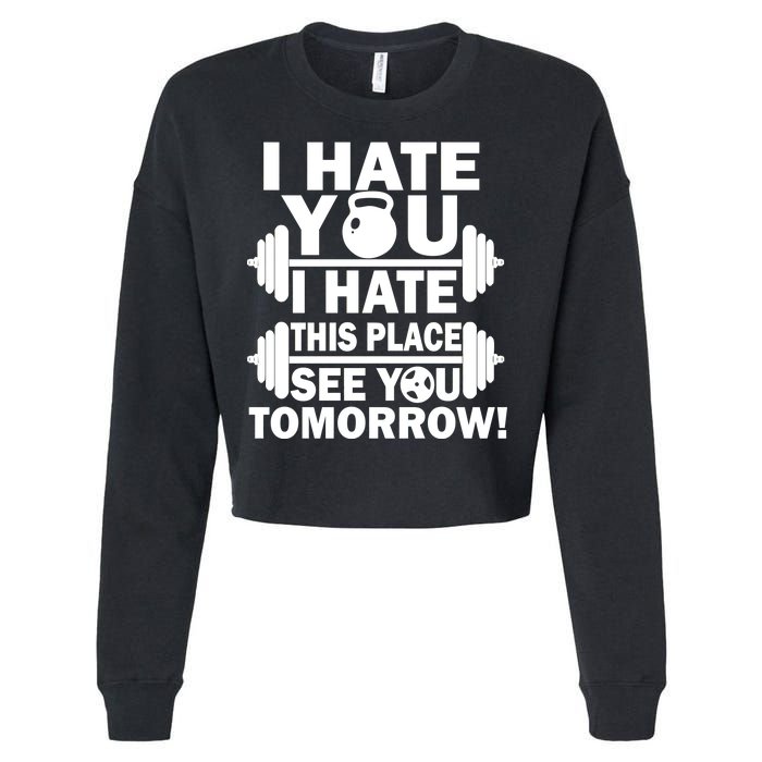 I Hate You This Place See You Tomorrow! Cropped Pullover Crew