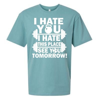 I Hate You This Place See You Tomorrow! Sueded Cloud Jersey T-Shirt