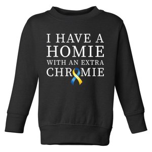 I Have A Homie With An Extra Chromie Toddler Sweatshirt