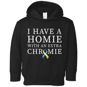 I Have A Homie With An Extra Chromie Toddler Hoodie