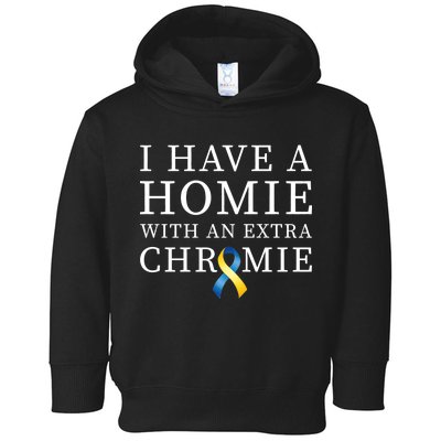 I Have A Homie With An Extra Chromie Toddler Hoodie