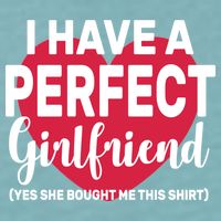 I Have A Perfect Girlfriend Yes She Bought Me This Sueded Cloud Jersey T-Shirt