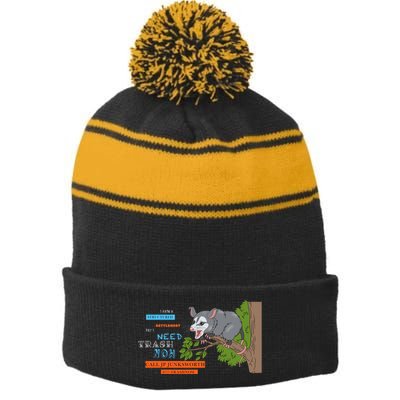 I Have A Structured Settlement Need Trash Now Funny Stripe Pom Pom Beanie