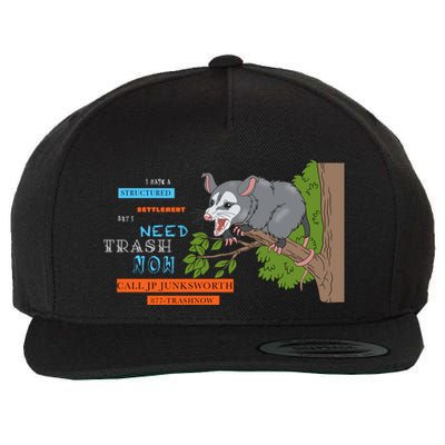 I Have A Structured Settlement Need Trash Now Funny Wool Snapback Cap