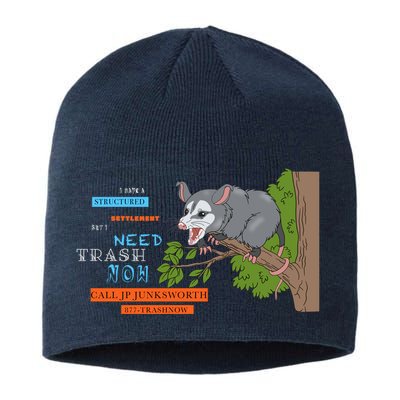 I Have A Structured Settlement Need Trash Now Funny Sustainable Beanie