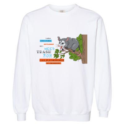 I Have A Structured Settlement Need Trash Now Funny Garment-Dyed Sweatshirt