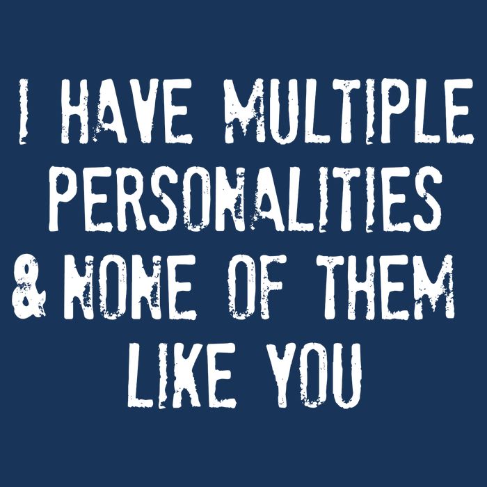 I Have Multiple Personalities And None Of Them Like You Premium T-Shirt