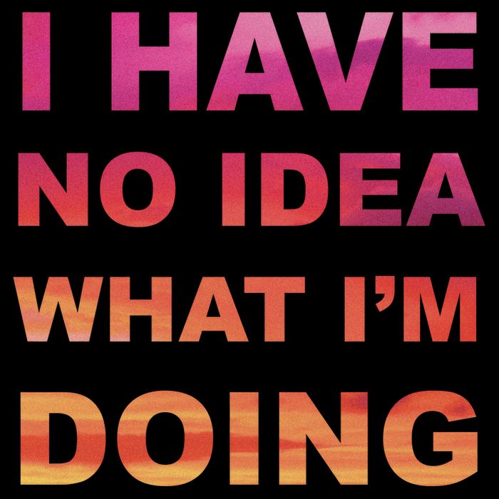 I Have No Idea What I'm Doing Mug