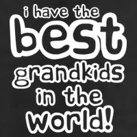 I Have The Best Grandkids In The World Adult Drive Performance Visor