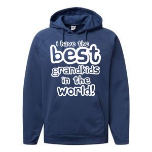 I Have The Best Grandkids In The World Performance Fleece Hoodie