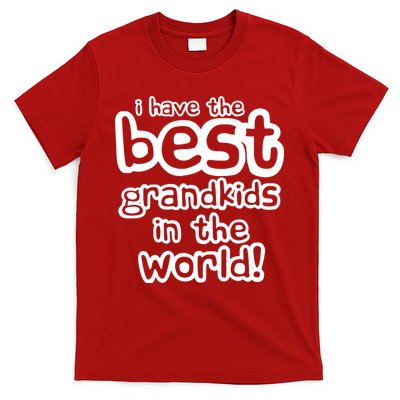 I Have The Best Grandkids In The World T-Shirt