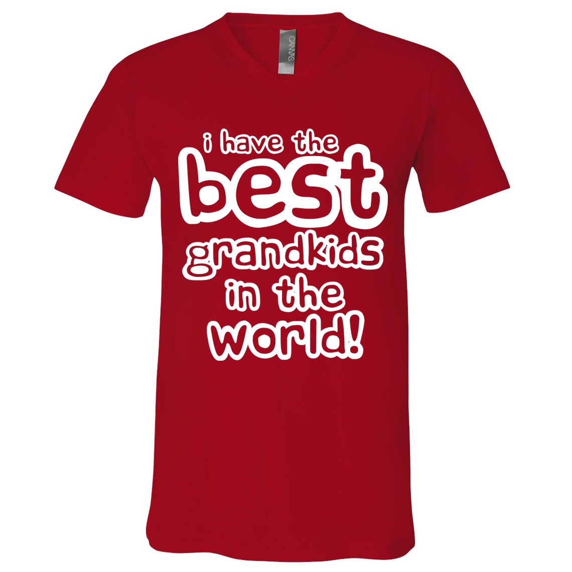 I Have The Best Grandkids In The World V-Neck T-Shirt