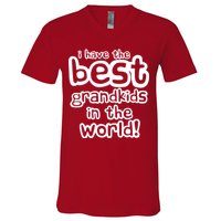 I Have The Best Grandkids In The World V-Neck T-Shirt