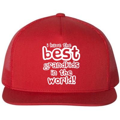 I Have The Best Grandkids In The World Flatbill Hat
