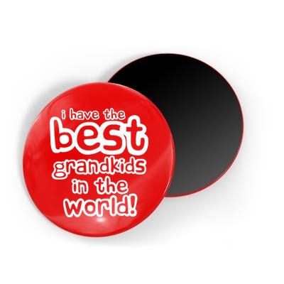 I Have The Best Grandkids In The World Magnet