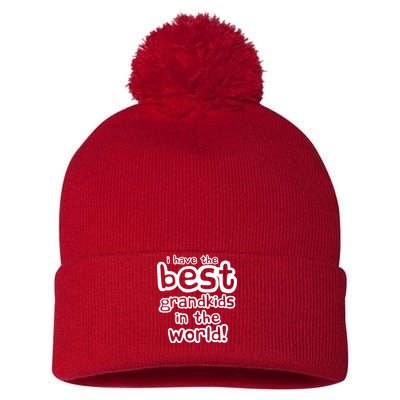 I Have The Best Grandkids In The World Pom Pom 12in Knit Beanie