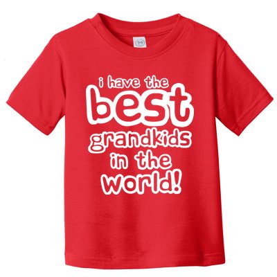 I Have The Best Grandkids In The World Toddler T-Shirt