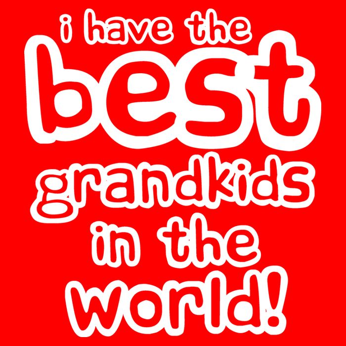 I Have The Best Grandkids In The World Womens T-Shirt