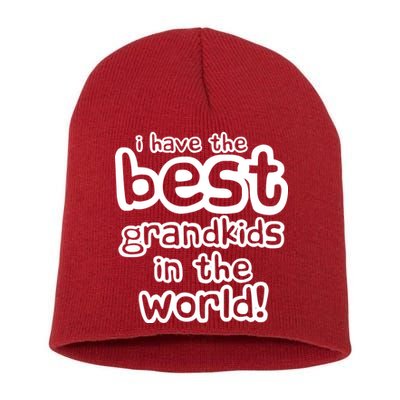 I Have The Best Grandkids In The World Short Acrylic Beanie