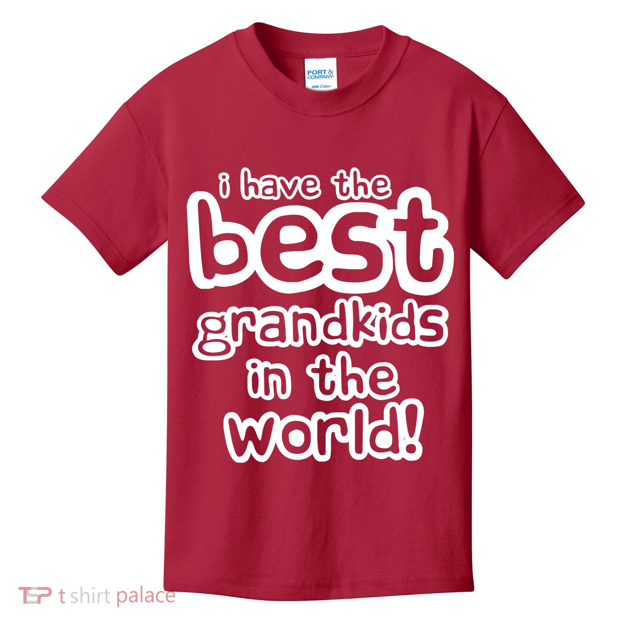 I Have The Best Grandkids In The World Kids T-Shirt