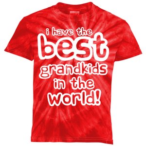 I Have The Best Grandkids In The World Kids Tie-Dye T-Shirt